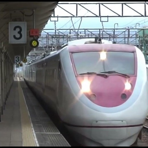 Train memories ～北越急行681系特急「はくたか」～