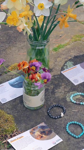 How to Track a Real Animal #fahlo #animals | Fahlo