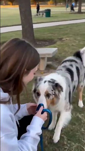 Emotional reunion between girl and her dog at the park