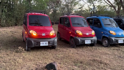 Videos de Chabelo (@amor63189) con “sonido original - Chanchona San Juancito”