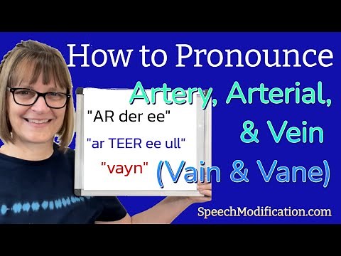 How to Pronounce Artery, Arterial, Vein (Vane and vain)