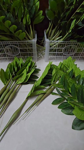 Artificial Zz Plant 😍😍😍 Large(65 cm 18 leaves)- 300 taka per stick. Medium(56 cm 14 leaves)- 250 taka per stick. Small (52 cm 10 leaves)- 200 taka per stick. | Planter and Plant