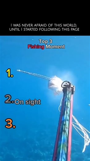 WildBlue_Planet on Instagram: "🎣 Top 3 Fishing Moments You Won’t Believe! 🌊💥 From massive tuna to elusive monsters of the deep, these are the moments that define real fishing mastery: 1️⃣ The $30,000 Tuna Bite 💥 Heart-stopping pull 🛳️ Boat rocking, line screaming ⚡ Only the strongest angler survives 2️⃣ Monster Fish Summoning 🐟 Patience, skill, and timing 🌊 The ocean obeys… or devours 💀 One wrong move and it’s chaos 3️⃣ Epic Caribbean Catch 🌴 Sun, waves, adrenaline 🎣 The ultimate test 