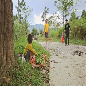 12K views · 197 reactions | The two sisters went to the field to pick black cat vegetables to sell to buy food | The Pombing Vide | Facebook