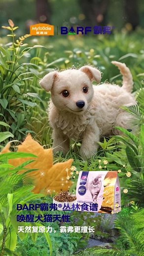 #神奇复原力在哪里 @BARF霸弗官方旗舰店