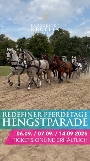 🐴✨ Die Redefiner Pferdetage 2025 – Ein Erlebnis für die ganze Familie! ✨🐴 Am 6. | 7. | 14. September, jeweils von 10:00 bis 16:30 Uhr, öffnet das Landgestüt Redefin seine Tore. Besucherinnen und Besucher dürfen sich auf abwechslungsreiche Vorführungen, beeindruckende Schaubilder und besondere Momente rund um die Pferde freuen. Ein Höhepunkt, der jedes Jahr für Staunen sorgt, ist der legendäre Zehnspänner: Zehn Pferde vor dem Wagen, die in perfekter Harmonie bewegt werden – ein Bild, das man so