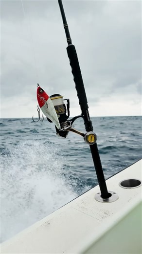 Authority High Speed Carnage III Jigging/Popping 🎣 reporting in for duty 🫡 down @darienlodge This might be one of the more do-it-all verstile rod & reels setup for desinations like Columbia where topwater tuna, 🏆mahi, roosters, jacks, even cubera are the target species 🎯🐟 If you only had one rod & reel - what would your’s be? 🎣 #PENNFishing #LetTheBattleBegin #InshoreFishing #OffshoreFishing #FishingGear #Travel #Adventure #Fishing | PENN Fishing