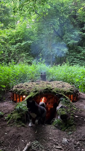 35K views · 883 reactions | UNDERGROUND HOUSE  Building Bushcraft Shelter | Bushcraft Hakan karahan | Facebook