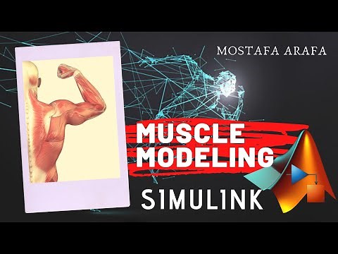 Muscle Modeling and Simulation Using Simulink