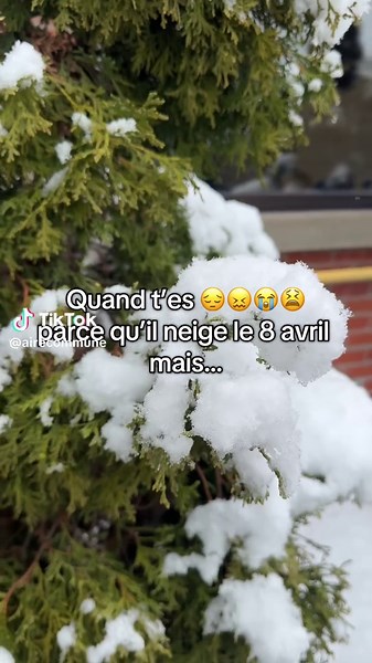 Neige nahhhhh 😖 Aire commune yaaaah 🤩 Billets dans la bio #event #snow #avril #montreal