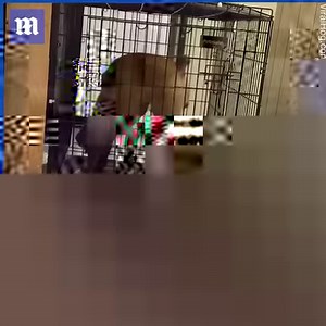 20K views · 95 reactions | This man tries to escape a washing machine while it's turned on Do not try this at home! ‍♂️via ViralHog | Daily Mail Video | Facebook