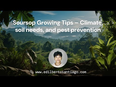 How to Grow Soursop (Guyabano) in the Philippines 🌿 | Tips from Norzagaray, Bulacan