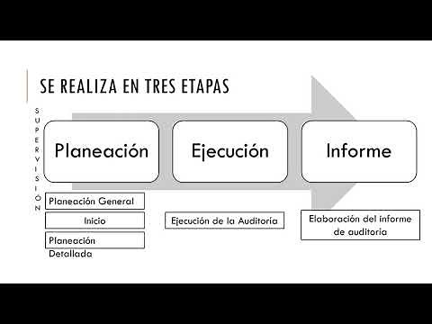 Unidad IV Etapas de la Auditoría Gubernamental - Ejecución