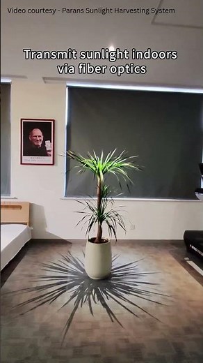 This System Brings Real Sunlight Indoors