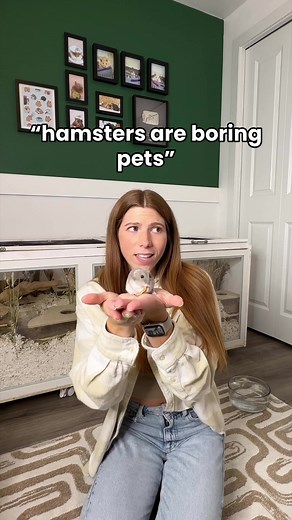 Discover the Charm of Hamsters: Cute Videos to Brighten Your Day