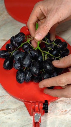 Fastest way to make wine 🍷😳