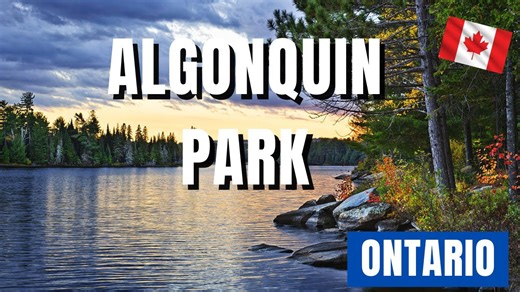 Experience Ontario’s Most Thrilling Outdoor Adventures in Algonquin
