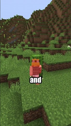 The Most Annoying Block in Minecraft!??