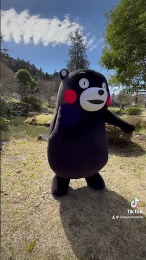 チピチピチャパチャパ踊ってみた🐈 #くまモン #dance #chipichipichapachapadubidubidabadaba #猫ミーム #avantgardey #kumamon