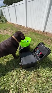 4.1K views · 184 reactions | The new Dakota Lithium Powerbox+ 135 is the ideal power station for both the most extreme adventures, and small at-home needs where power is not easily reachable. In this case, Duke is beyond happy to have an almost unlimited supply of power to keep his fetch machine going all day long for endless fun. #DakotaLithium #PowerYourPassion #11YearWarranty | Dakota Lithium Batteries | Facebook