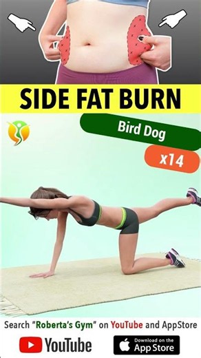 30-Min #sidefatburn – #cardio and #unilateral #exercises ‪@RobertasGym‬ #weightloss #homeworkout
