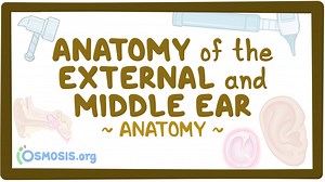 Anatomy of the external and middle ear: Video, Causes, & Meaning | Osmosis