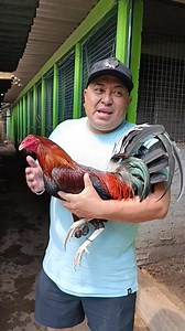 8.3K views · 478 reactions | Información de esta Rifaaaa!!!爛爛爛爛爛爛爛爛爛 Al 5560691269 vía WhatsApp !! 5560691269 via what SAP 爛爛 | El Fenix Farm | Facebook