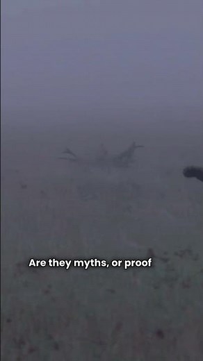 Fascinating Cryptids From Around the Globe 🌍 Mysterious Creatures Explained