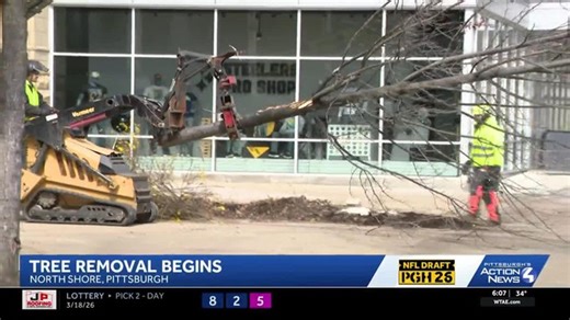 'Down to the stump:' Trees removed outside Acrisure Stadium for NFL Draft | Haystack News