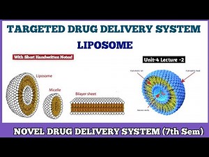 LIPOSOME | Targeted Drug Delivery System (TDDS) | Novel Drug Delivery System 7th semester