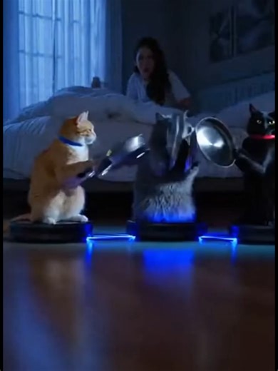 🐱🤖🍳 KITTEN GLADIATORS! Epic Pan Battle on Cleaning Robots Goes Viral! 😂 | AI Funny Animation La battaglia domestica del secolo è iniziata! 🐱🤖🍳 Guarda cosa succede quando i gatti di casa scoprono un'arma segreta (padelle da cucina) e un mezzo di trasporto inaspettato (robot aspirapolvere)! In questo scontro epico tra felini armati e macchine pulitrici, generato al 100% con Intelligenza Artificiale, la tua casa non sarà mai più la stessa! 😂 ✨ TUTTO CREATO CON AI - Per garantire risate senz