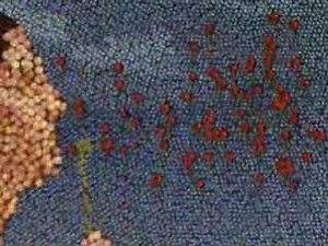 Sun Rype juice Shoes