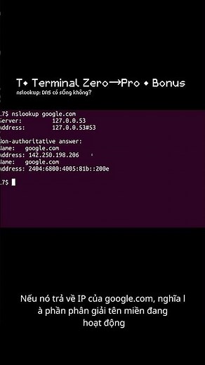 T• nslookup: DNS có phân giải được không? | Bonus (Terminal Zero→Pro) #ubuntu #terminal #code #linux