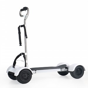 [Hot Item] Ksm-930 4X4 Golf Carts for Sale Electric Bike Golf Skateboard 4 Wheels Golfboard 2000W 60V for Golf Course