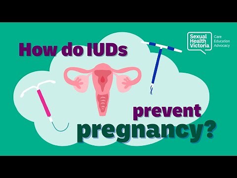 How do IUDs work?