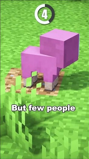 Rarest Minecraft Sheep Ever! 🐑