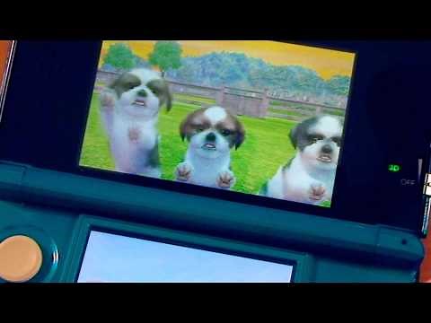 3DS REVIEW - Nintendogs + Cats (thebitblock.com)