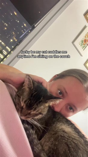 I’ll never get over winning the cat lottery | cats