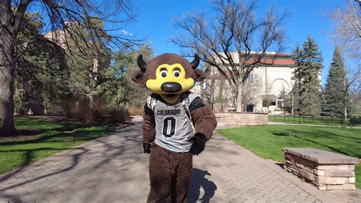 Are you getting ready to graduate (or planning to support a Buff on their big day)? 🎓 🤩 Join the commencement excitement and learn how to prepare for graduation with Chip! For more information regarding the commencement ceremony, click here! ➡️ https://bit.ly/44czmd2 | University of Colorado Boulder