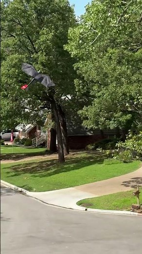 Train Your Dragon Outside!