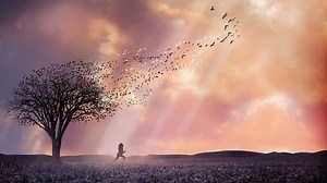 Watch The Lovely Bones 2009 HD online