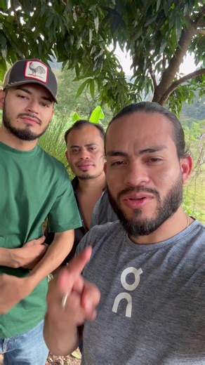 Raza allá nos vemos🫡#losgallos#finos# | gallos