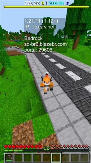 Playing with Subscribers on Brazilian Minecraft Bedrock and Java with voice chat