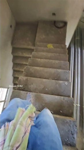 Ultimate 4 Bathroom Plumbing Installation! 🛠️ #Plumbing