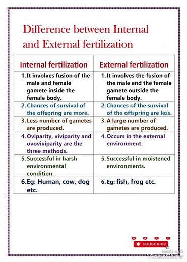 Difference between internal and external fertilization