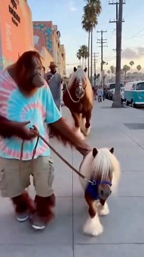 260K views · 7.8K reactions | This highlight segment presents a...