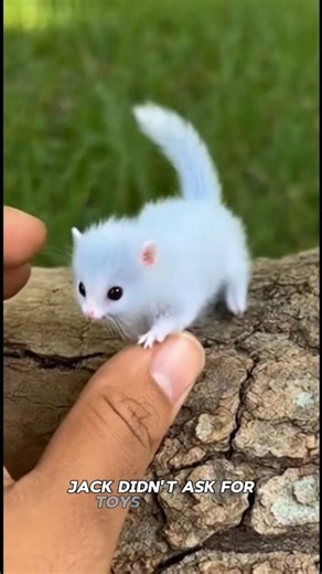 The Magic Talking Tree#kidsstory #magicstory #shortstory #bedtimestory #yuotubeshorts #KidsShorts