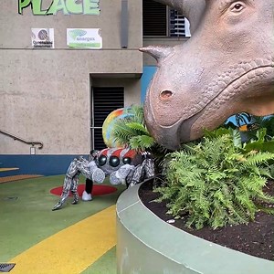 66K views · 794 reactions | Seeing Triceratops and Tyrannosaurus was pretty scary, but dancing to Danger Danger Velociraptor like no one’s watching was fun! Puppet created by Chris Lane (@spooner.lane) #SpidersQM #qldmuseum #museumathome | Queensland Museum Kurilpa | Facebook