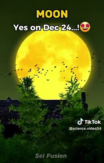 Yallow Moon Sightings: What to Expect in the Sky