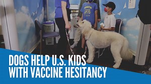 16K views · 140 reactions | Ollie and 14 other dogs help children at Rady Children's Hospital-San Diego overcome the anxiety associated with getting a COVID-19 vaccine. Video and text by REUTERS/kga | INQUIRER.net | Facebook